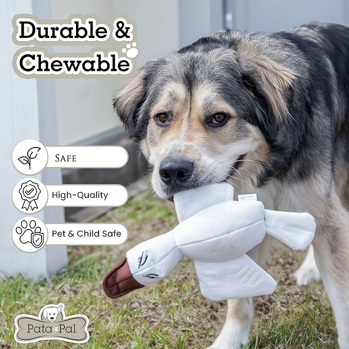2-Pack Eco-Friendly Durable Squeaky Dog Toys – Cotton Canvas Interactive Chew Toy Set – Ducky & Dawgy (White)