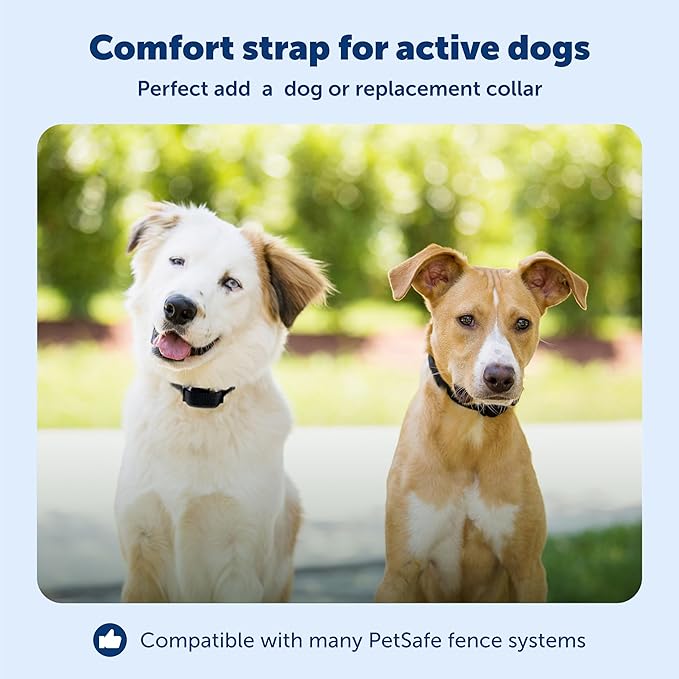 PetSafe YardMax Dog Fence Collar, Electric Dog Containment Waterproof Collar, Fits Dogs 5 lb & Up, Adjusts to Fit Neck Sizes 6-28 in, (Black) - from The Parent Company of Invisible Fence Brand