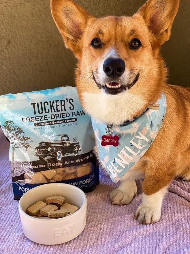 Tucker's Raw Frozen Freeze Dried Raw Dog Food, Pork, Bison & Pumpkin Formula 14oz (2 Pack)