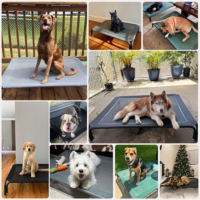Elevated Dog Bed Raised Outdoor Dog Cot for Medium Dogs, Installation Requires No Tools, Frame with Washable Cooling Breathable Mesh Anti-Slip Feet, Indoor Pet Bed, Green, 35.4 Inches