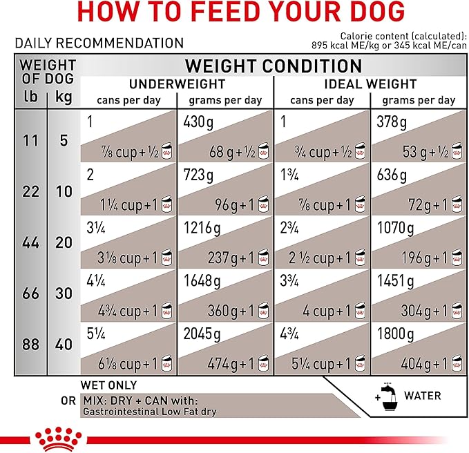 Royal Canin Veterinary Diet Canine Gastrointestinal Low Fat Adult Loaf Dog Food, 13.5 oz (Pack of 6)
