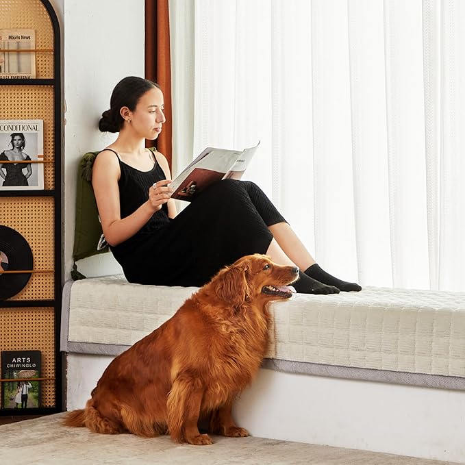 Couch Cover for Dogs Washable,Anti-Slip Back Cat Mat Pet Pad Blanket for Furniture Protector,Fuzzy Pet Sofa Cover for 3 Cushion Couch Sofa Pets Friendly (Ivory, 1pc/27.6"x70.9"/Seat Cover)