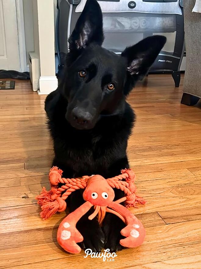 Large Squeaky Dog Toys, Rope Tug of War Dog Toys for Puppy, Small, Medium, Large Dogs, Interactive Stuffed Lobster Plush Toys
