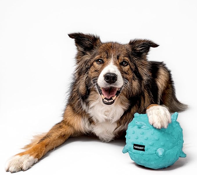 Playology Dog Toys | Puppy Toy Plush Sensory Ball for Dogs and Puppies | Jumbo Peanut Butter Scented Toy - Easy to Clean and Made from Non Toxic Materials