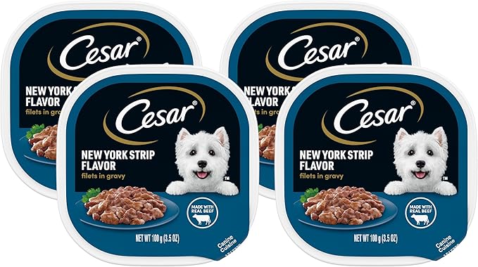 Cesar Adult Soft Wet Dog Food Filets in Gravy, New York Strip Flavor, 3.5 oz. Tray (Pack of 4)