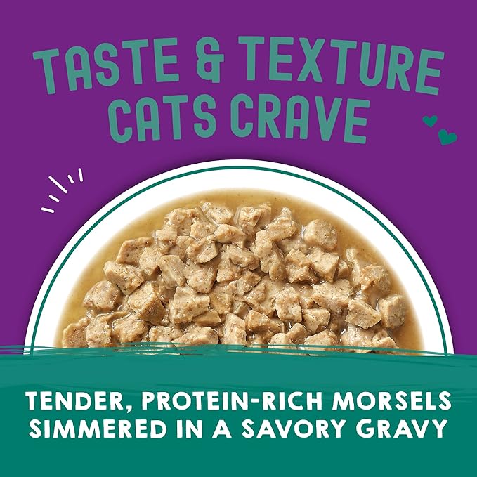 Stella & Chewy's Carnivore Cravings Wet Cat Food Pouches - Premium Salmon & Mackerel Recipe - Grain-Free Morsels & Gravy - Perfect for Picky Eaters - Complete Meal or Topper - 2.8oz, 12-Pack