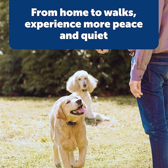 PetSafe Remote-Spray Trainer Add-A-Dog Collar - Waterproof & Rechargeable Spray Training Collar - Redirects Attention & Reinforces Positive Behavior - for Dogs 8 lb+