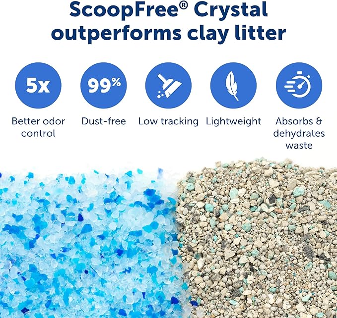 PetSafe Legacy ScoopFree Crystal Pro Self-Cleaning Automatic Cat Litter Box - Front-Entry Motion-Sensing Cat Box with Integrated Health Counter - Includes 1 Disposable Crystal Litter Tray