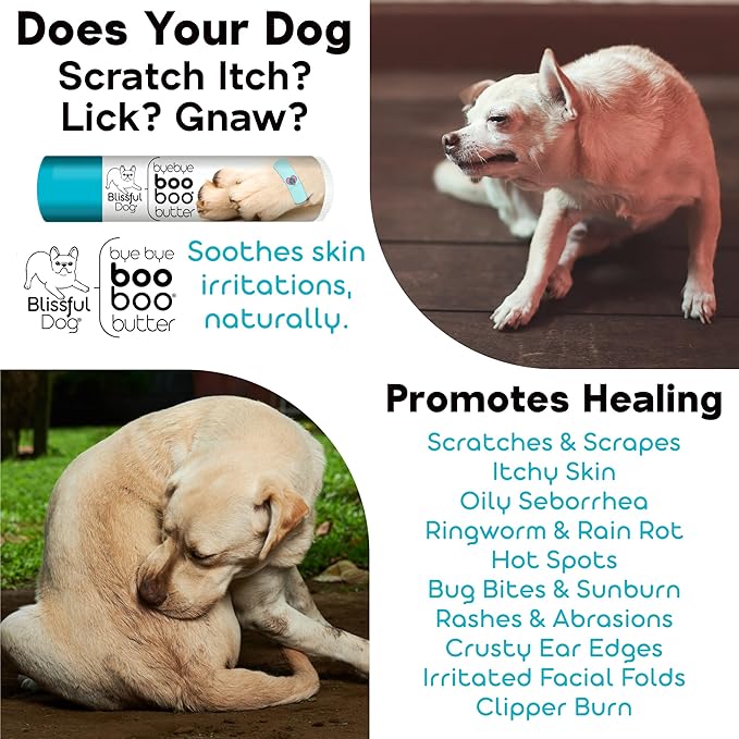 The Blissful Dog 2 oz TIN Neapolitan Mastiff Booboo Butter