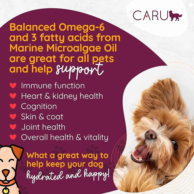 Caru - Classics Beef Stew for Dogs - Healthy Wet Dog Food or Food Topper - Balanced Omega Blend - 12 oz Cartons - Pack of 4