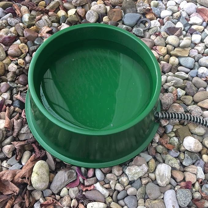 Farm Innovators QT-1 1 Quart Electric Heated Pet Water Bowl with Thermostatic Control and Anti Chew Cord Protector, 25 Watt, Green (2 Pack)