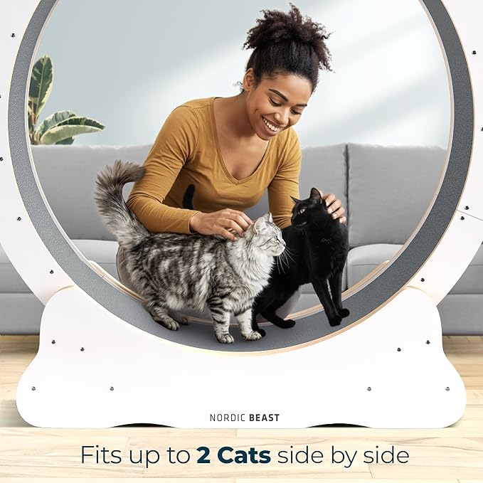 White 48'' XL Cat Wheel - Cat Wheels for Indoor Cats Which Doesn't Negatively Affect Your Cat's Spine - 15.7'' Extra Wide White Exercise Wheel - Fits 2 Cats Side-by-Side, 1-Year Warranty