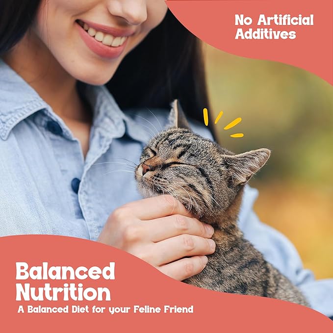 Beefeaters Salmon Pate Wet Cat Food 3oz (24-Pack) | Adult Wet Food with Taurine, Premium Catfood Wet Food, No Artificial Additives, Balanced Nutrition | Supports Immune System & Vision