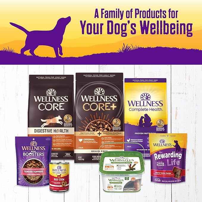 Wellness Complete Health Grain Free Canned Wet Dog Food, Beef Stew, 12.5-Ounce Can (Pack of 12)