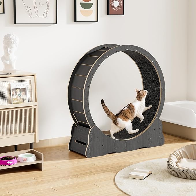 Cat Exercise Wheel Indoor, Quiet Medium Cat Treadmill with Detachable Carpeted Runway & Lock, 38.2” Exercise Running Wheel for Pet’s Health and Entertainment, (Black, M)