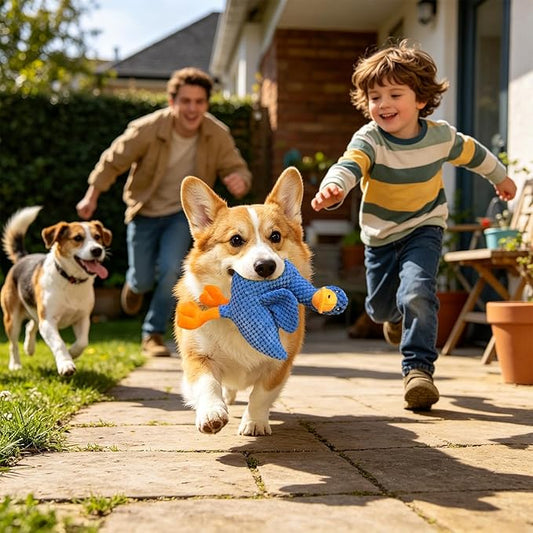 Dog Toys - Squeaky Duck Interactive Chew Toy, Durable Plush Pet Supply for Aggressive Chewers, Teeth Cleaning Play Object | Home Training, Daily Exercise, Outdoor Walks & Travel Companion