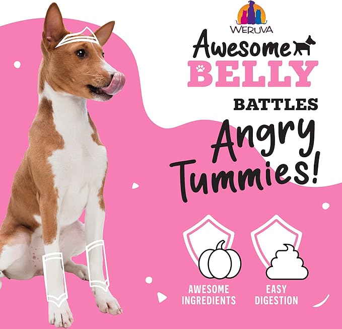 Weruva Awesome Belly Wet Dog Food, Beef & White Rice, 14oz Can (Pack of 10)