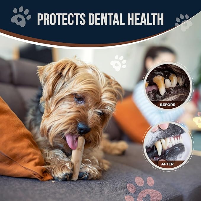 Coffee Wood Dog Chews 7.5" & Dog Rope Toys 100% Natural for Teething, Stress Relief, Dental Health, Organic Toys - Size S