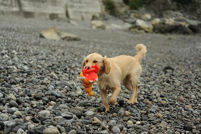 Dog Toy, Squeaky Plush Dog Toy, Rough & Tough Interactive Pet Toy, Recycled Fabric and Double Stitched (Pagurian)