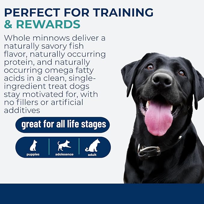 Momentum Carnivore Nutrition Freeze-Dried Minnows Dog Treats & Cat Treats – Single-Ingredient, High-Protein, Grain-Free, Natural Whole-Fish Treat – Made in USA – 2 oz Bag