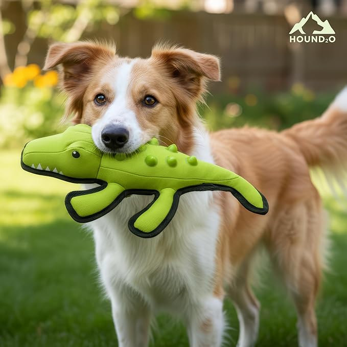 Plush Dog Toys | Alligator Stuffed Animal Squeaky Toy for Dogs | Outdoor Pet Toy Built for Adventure