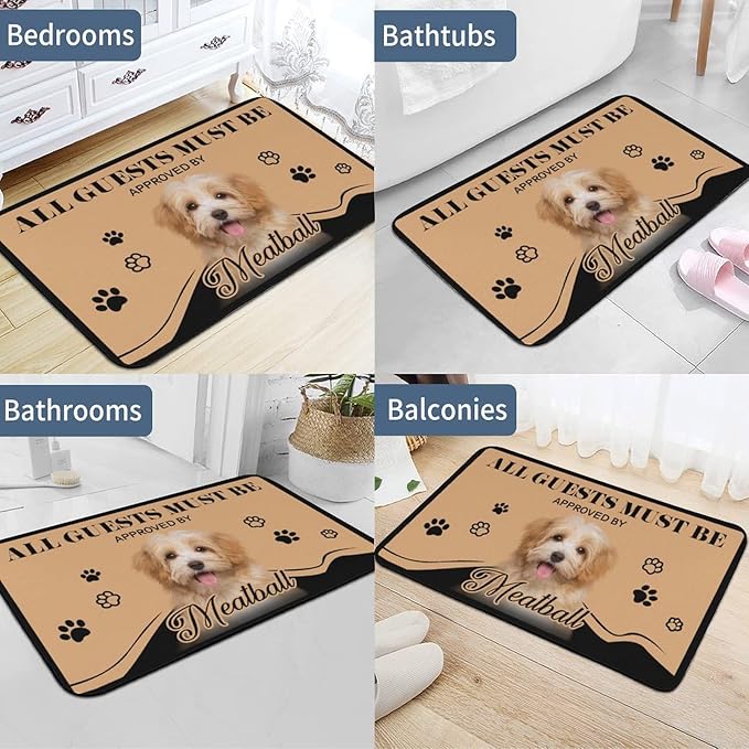 Generic Personalized Dog Cat Doormat, Custom Pet Door Mat for Outdoor, Indoor, Custom Cat Dog Rugs Gifts-24x16inch (Up to 4 Pets), One Size, Style-1