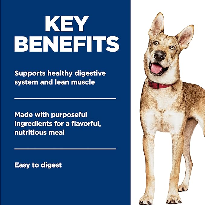 Hill's Science Diet Healthy Cuisine, Adult 1-6, Great Taste, Wet Dog Food, Braised Beef, Carrots & Peas Stew, 12.5 oz Can, Case of 12