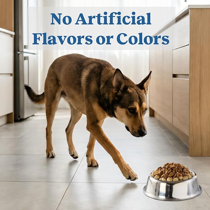 Newman's Own Toppers - Wet Topper for Dry Dog Food - Great for Picky Eaters - Chicken as The First Ingredient - No Corn, Wheat, or Soy - Chicken Soup Recipe - 16 oz Resealable Pouch