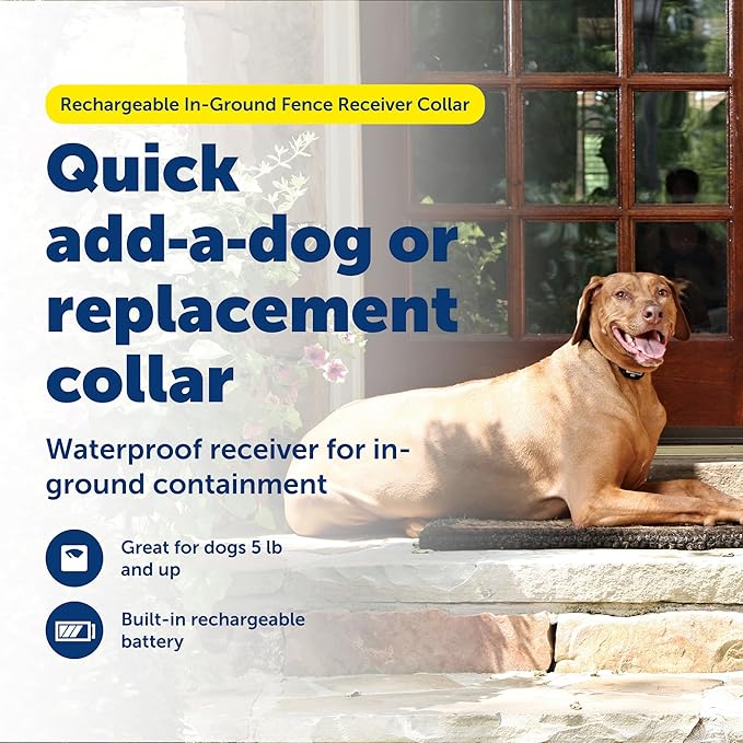 PetSafe Rechargeable In-Ground Pet Fence Receiver Collar for Cats and Dogs, Waterproof with Tone and Static Correction, Fits Pets 5 lbs and Up from The Parent Company of The Invisible Fence Brand