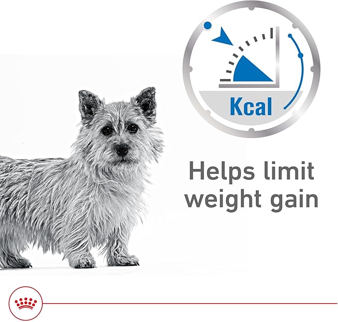 Royal Canin Canine Care Nutrition Weight Care Adult Loaf in Sauce Dog Food, 5.2 oz (Pack of 24)