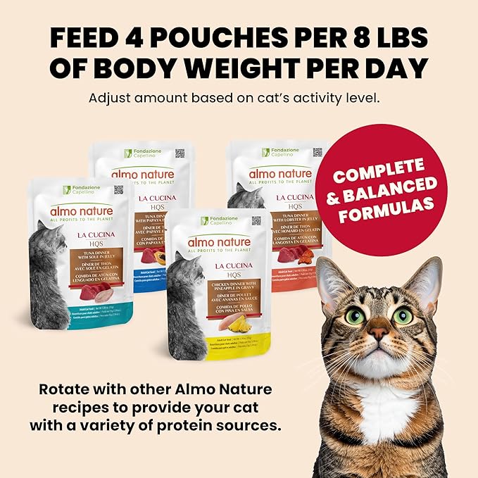 almo nature HQS La Cucina Wet Cat Food Chicken Dinner with Whitefish in Gravy - Grain-Free Cat Pouch, 1.94 oz (Pack of 12)
