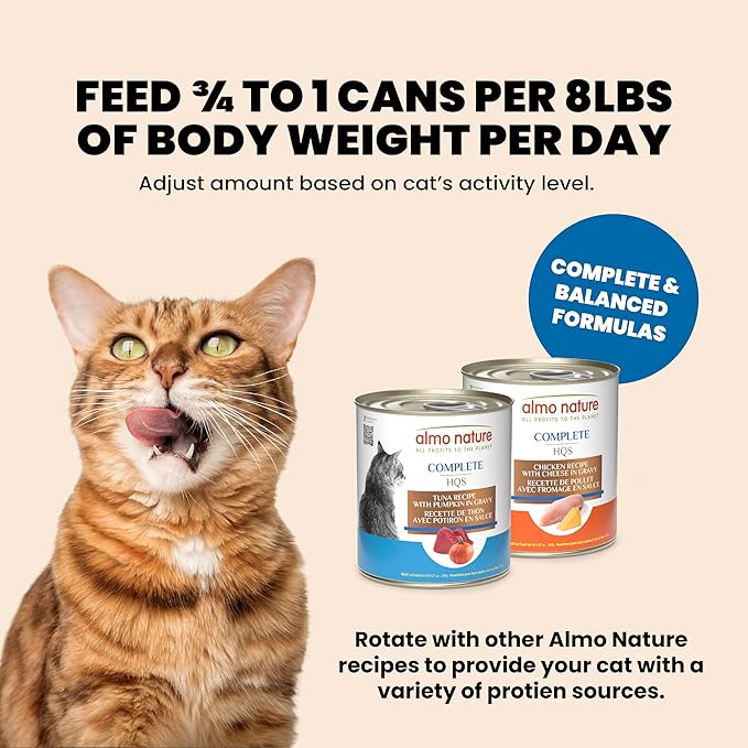 almo nature HQS Complete CAT Wet Cat Food Tuna Recipe with Pumpkin in Gravy - Grain-Free Cat Food Canned, 9.87 oz (Pack of 24)