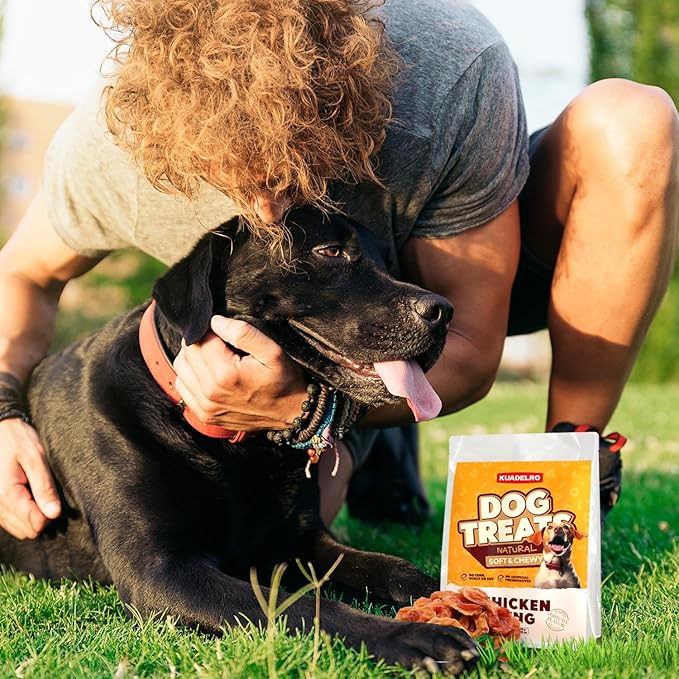 Chicken Rings Dog Treats, Natural Chicken Breast Jerky Rawhide-Free Soft Chews Healthy Dog Training Treats for Small Medium Large Breed 10.58oz