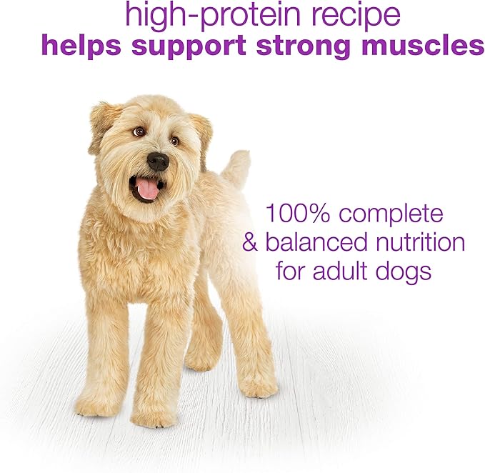 Beneful Purina Wet Dog Food, Chopped Blends with Lamb - (8) 10 oz. Tubs (Pack of 2)