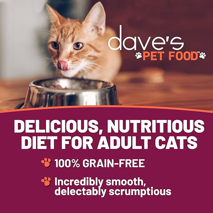 Dave's Pet Food Grain Free Wet Cat Food (Shredded Chicken in Gravy), Made in Canada Naturally Healthy Canned Cat Food, 13.2 oz (12 Pack)