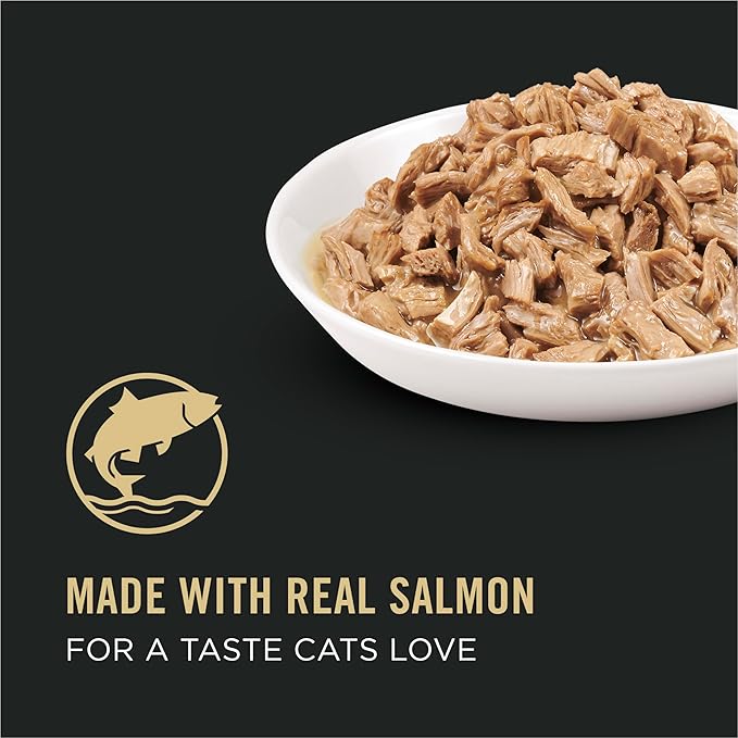 Purina Pro Plan Gravy Wet Cat Food,Complete Essentials Salmon Entree in Sauce - 5.5 oz. Cans,(Pack of 48)