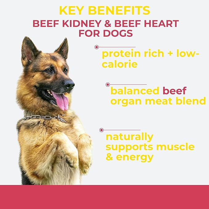 Momentum Carnivore Nutrition Freeze-Dried Beef Training Bites – Two Ingredients-Beef Kidney and Heart, Grain-Free, All-Natural Dog Treats –Made in USA – Perfect for Training & Rewards- 2.5 oz Bag