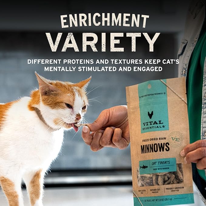 Vital Essentials Freeze Dried Cat Treats | Rabbit Bites, Single Protein | Premium Quality | Grain Free, Crunchy Cat Treats, 0.9 oz Bag