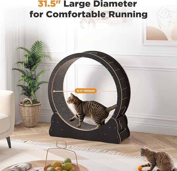 Cat Exercise Wheel Indoor, Quiet Medium Cat Treadmill with Detachable Carpeted Runway & Lock, 38.2” Exercise Running Wheel for Pet’s Health and Entertainment, (Black, M)