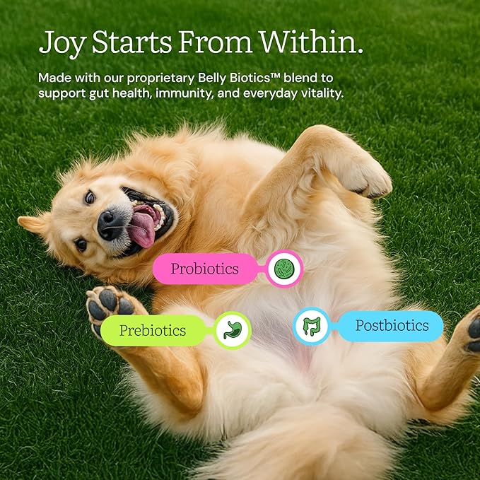 Get Joy Freeze Dried Dog Food | Chicken Recipe with Superfoods for Gut Health & Digestion | Vet Formulated Meal or Topper for Puppy, Senior & Adult Dogs, 100% USDA Sourced, Seed Oil Free | 4oz Bag