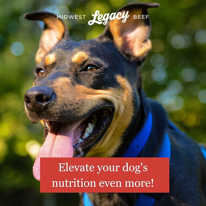 Freeze Dried Beef Liver Dog Treats Raw Single Ingredient | Premium High Protein, Natural and Healthy Nutritious Pet Dog Training Treat Made in The USA, 3 Lbs