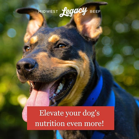Freeze Dried Beef Liver Dog Treats Raw Single Ingredient | Premium High Protein, Natural and Healthy Nutritious Pet Dog Training Treat Made in The USA, 3 Lbs