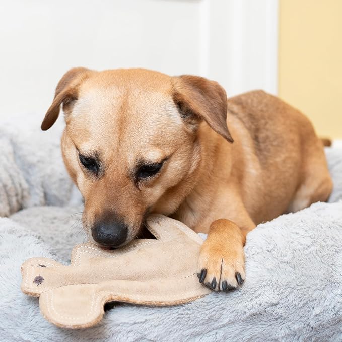 SPOT Dura-Fused Leather Squirrel Dog Toy – Real Leather & Jute Fabric, Double-Stitched & Durable, Soft Stuffed Squeaky Interactive Chew Toy for Moderate Chewers, Small & Medium Dogs, 8in