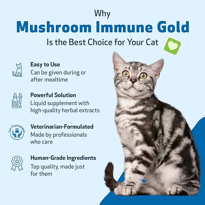 Pet Wellbeing Mushroom Immune Gold for Cats - Complementary Immune Support with Functional Mushrooms Reishi, Maitake & Turkey Tail - NASC Certified & Vet-Formulated - 8 oz Liquid Formula