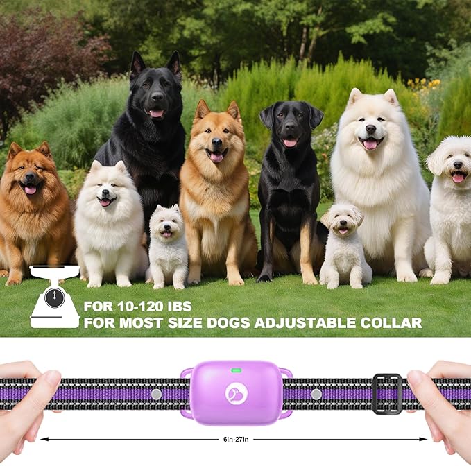 Dog Shock Collar - 2600FT Dog Training Collar with Remote, 3 Modes(Beep/Vibration/Shock), Security Lock, IP68 Waterproof Rechargeable E-Collar for 10-120lbs All Breeds (Purple)