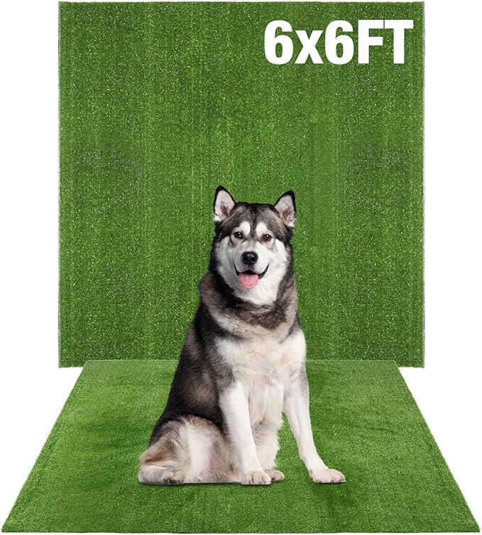 GLOBREEN Large Artificial Grass Outdoor for Dogs - 6 FT X 6 FT Fake Grass for Pets Potty Training - Turf Rug Roll for Kennel Playpen Whelping