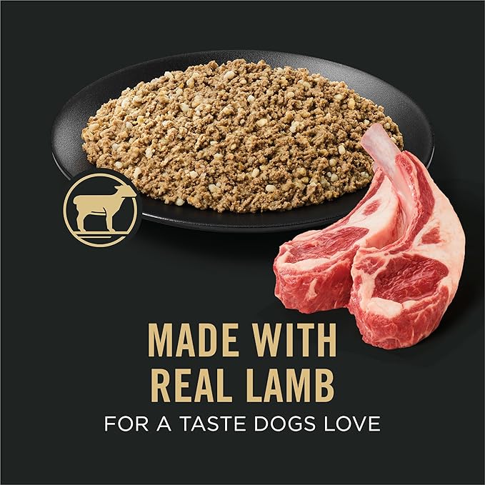 Purina Pro Plan Sensitive Skin and Stomach Dog Food Wet Classic Pate Lamb and Oat Meal Entrée - 13 oz. Cans,(Pack of 24)