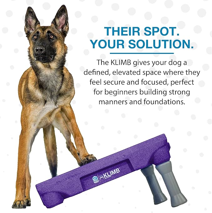Blue-9 Happy Dog Starter Bundle with KLIMB Dog Training Platform & Traction Mat and Inspire Training Treat Pouch & Training Treats, Purple