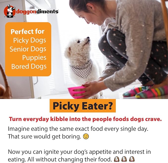 Mom's Sunday Roast Beef Dog Food Topper, Fun People Food Flavors, Made in USA
