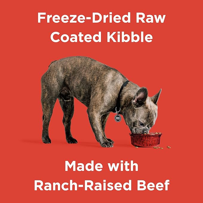 BIXBI Rawbble Freeze-Dried Raw Coated Dog Food, Beef – Fresh Meat, No Meat Meals, Grain-Free – USA Made, 24 lbs